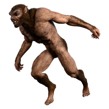 3D Rendering Werewolf on White