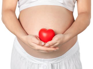 Pregnant mother showing her belly and holding a mini heart