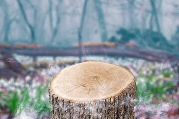 Wooden Tree trunk Podium outdoor