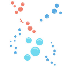 illustration of a starfish in realism