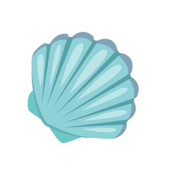 illustration of a seashell in realism