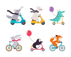 Cute Animal Riding Bicycle and Scooter Vector Illustration Set