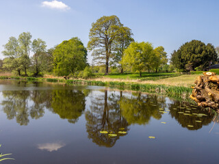 Fototapeta na wymiar Early springtime tree reflections in lake at Arley Hall, Knutsford, Cheshire, UK