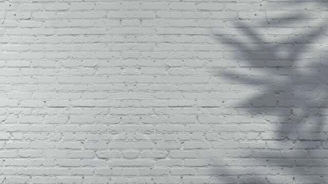 Shadow of bamboo tree moving gently in the wind on white painted brick wall background, backdrop