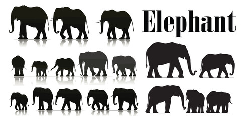 A set of silhouette Elephant vector illustration collection