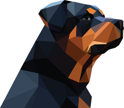 Rottweiler head 3d geometric triangle pattern vector illustration , Rottie or rott dog side view in polygonal geometrical style vector image isolated on white background