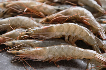 Raw shrimps. Tasty prawns. Shallow depth of field