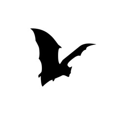 bat Halloween vector 
