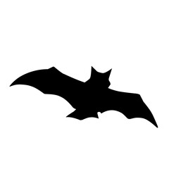 bat Halloween vector 