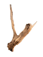 Dried tree