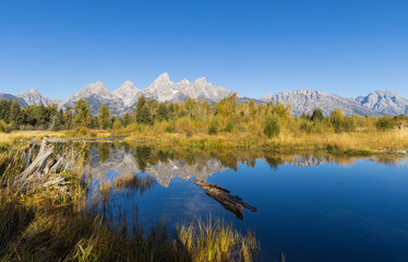 Beautiful Reflection Landscape in the Tetons in Autumn