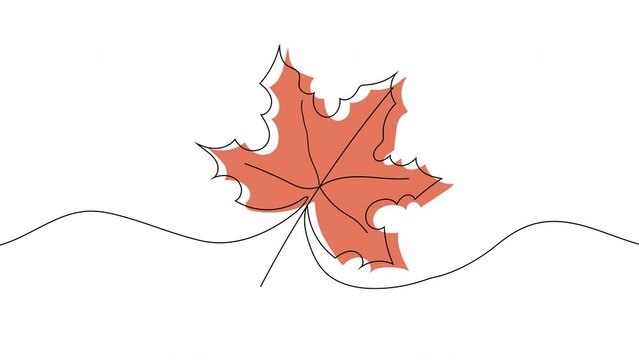 Maple lieutenant. Linear, silhouette with color on the background. Video flat cartoon animation design element