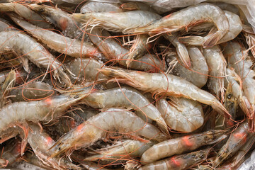 Raw shrimps. Tasty prawns. Shallow depth of field