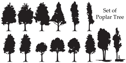 A set of poplar tree vector silhouette design