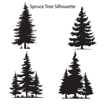A set of spruce silhouette vector illustration