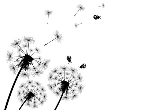 Silhouette of a simple single dandelion and ladybug