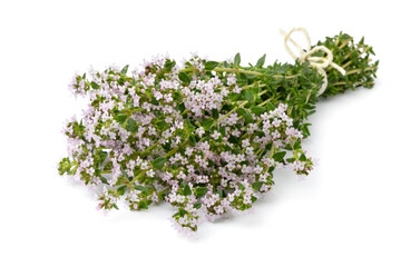 Bouquet of pink flowering fresh thyme close up on white background