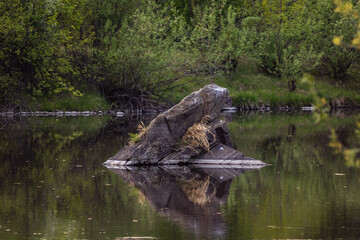 A rock sticking out of the river