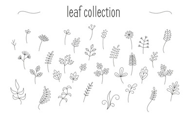 Collection of minimalist designs of leaves