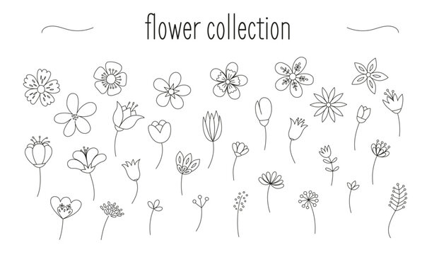 Collection of minimalist designs of flowers