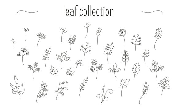 Collection of minimalist designs of leaves