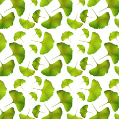 Autumn leaves. Ginkgo biloba leaves pattern on white background.