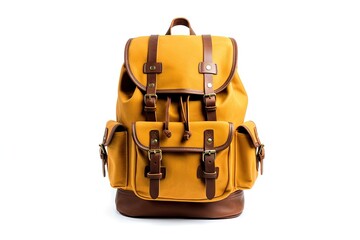 Back to School. Isolated Backpack on White Background