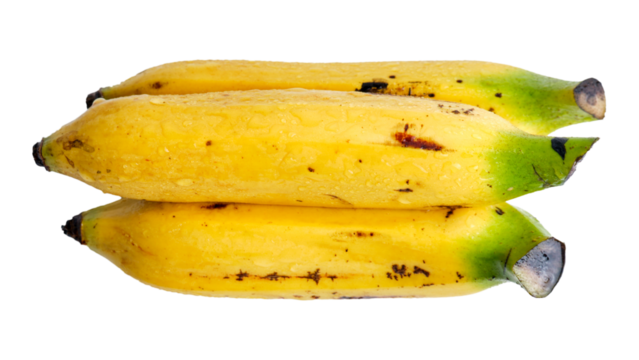 Group of Bananas with Droplets Isolated on White or Transparent Background