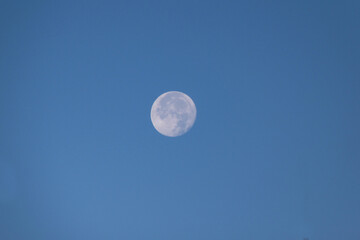 Luna llena. Luna cielo azul.