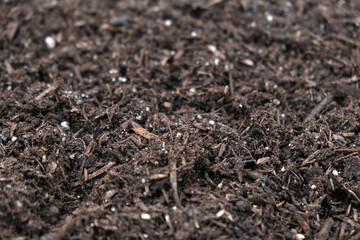 Healthy soil. Agricultural land. soil background.