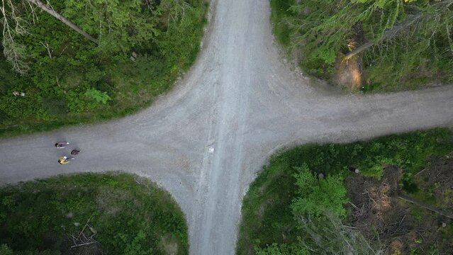 Aerial bird's eye view over a crossroad of two roads in the middle of a dense green forest at daytime. Mother and children went in different directions. Summer. Aerial top view