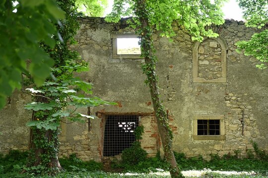 Schlossruine Pottendorf, &Ouml;sterreich, 25.05.2023