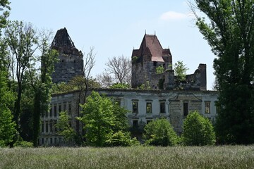 Schlossruine Pottendorf, &Ouml;sterreich, 25.05.2023