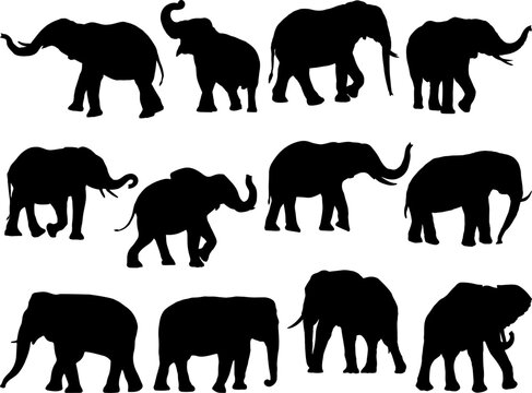 Set of Elephants Silhouettes
