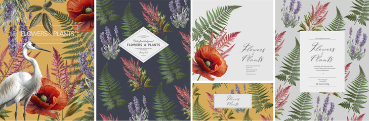 Plants, flowers and bird. Vector classic illustration of poppy, crane, lavender, fern, leaf and wild flower for floral background, pattern or wedding invitation