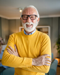 Portrait of one senior man with beard and gray hair happy smile