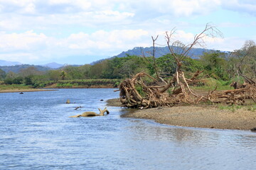 Fototapeta premium Excursion by boat on Rio Tarcoles near Tarcoles in Costa Rica