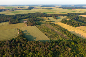 Verger de Giverny sur les hauteurs du village, entre les champs et les bois. 