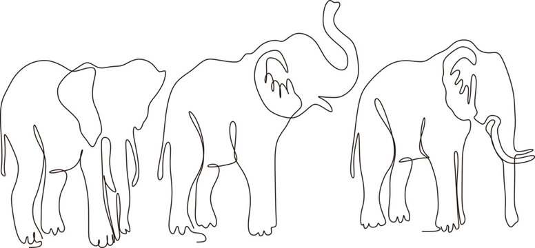 Continuous line drawing vector illustration of animals with elephant set