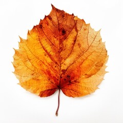 Autumn leaf isolated. Illustration AI Generative.