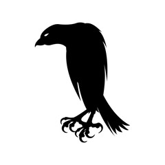 eagle on a white background