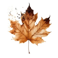Naklejka premium Autumn leaf isolated. Illustration AI Generative.
