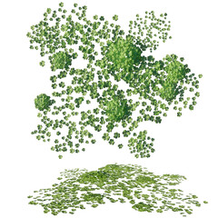 Set of Water Fern plants with isolated on transparent background. PNG file, 3D rendering illustration, Clip art and cut out