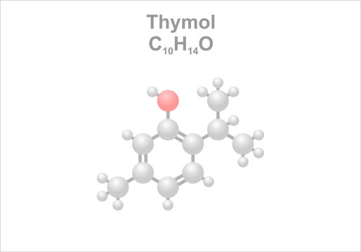 Simplified scheme of the thymol molecule.