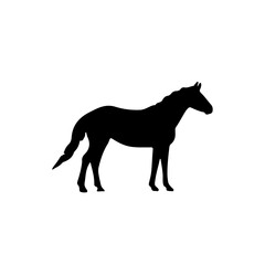 Standing horse silhouette. Black figure of mammal animal. Vector illustration of wild mustang. Design element shape