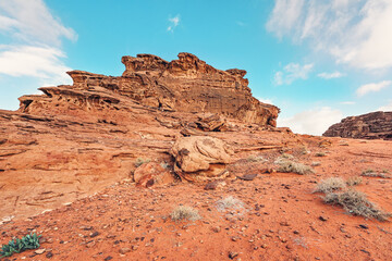 Red orange sandstone rocks formations with small shrubs growing at foreground in Wadi Rum (also known as Valley of the Moon) desert, Jordan