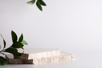 nature stone podium, plant on white background for product,stylish showcase ,mock up for...