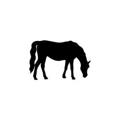 Horse eat pose silhouette. Domestic farm mammal animal graphic logo. Black icon stallion. Vector illustration about mustang.