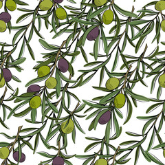 Seamless pattern with branches of olive fruits. Vector illustration.