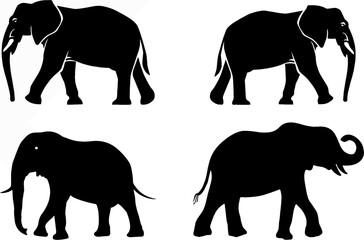Set of Black elephants silhouette on white background. Editable vector, easy to change color or size and reuse for designing wildlife poster or zoo flyer and tickets.